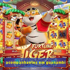acompanhantes em guanambi