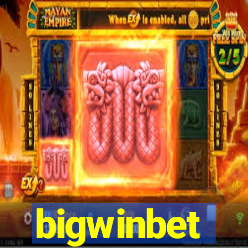 bigwinbet