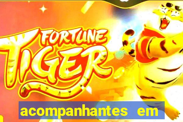 acompanhantes em cruz das almas