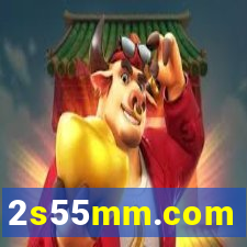 2s55mm.com