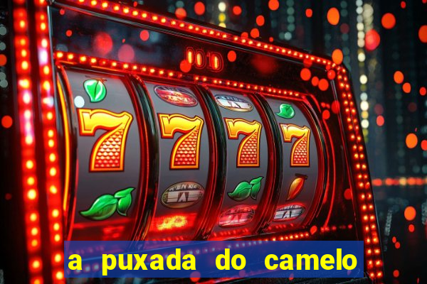 a puxada do camelo no jogo do bicho