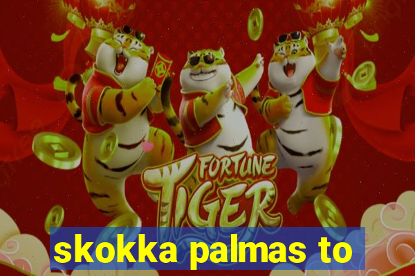 skokka palmas to