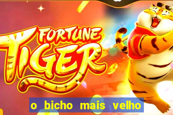 o bicho mais velho da loteria dos sonhos