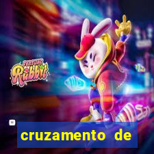 cruzamento de cavalo com jumenta globo rural