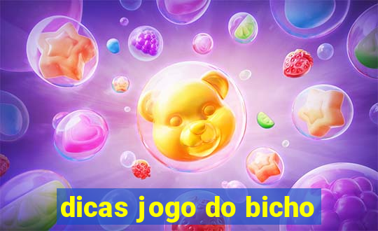 dicas jogo do bicho