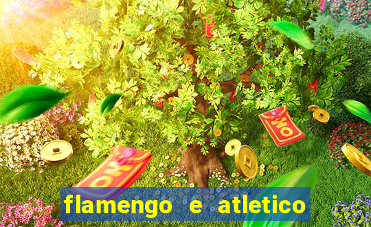 flamengo e atletico mineiro futemax