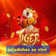 peladinhas ao vivo