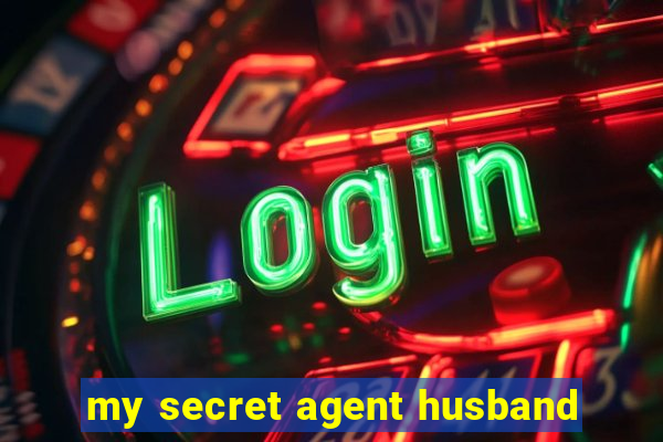 my secret agent husband
