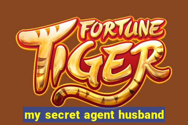 my secret agent husband