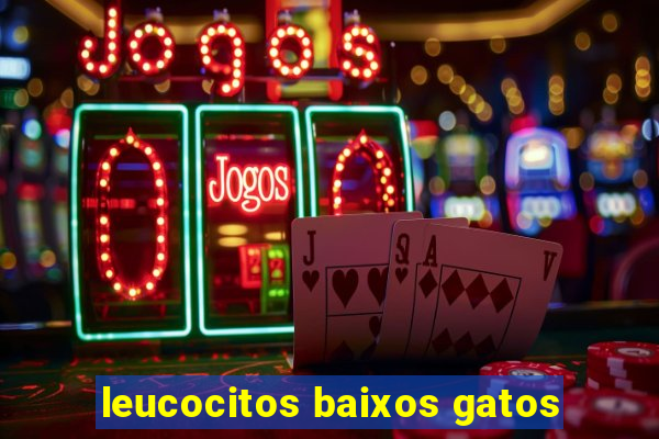 leucocitos baixos gatos