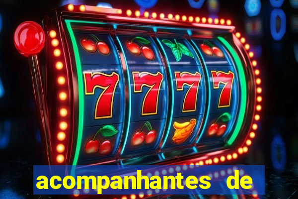 acompanhantes de luxo sc