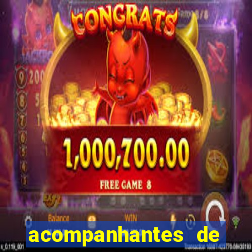 acompanhantes de luxo sc