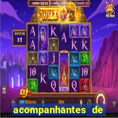 acompanhantes de luxo sc