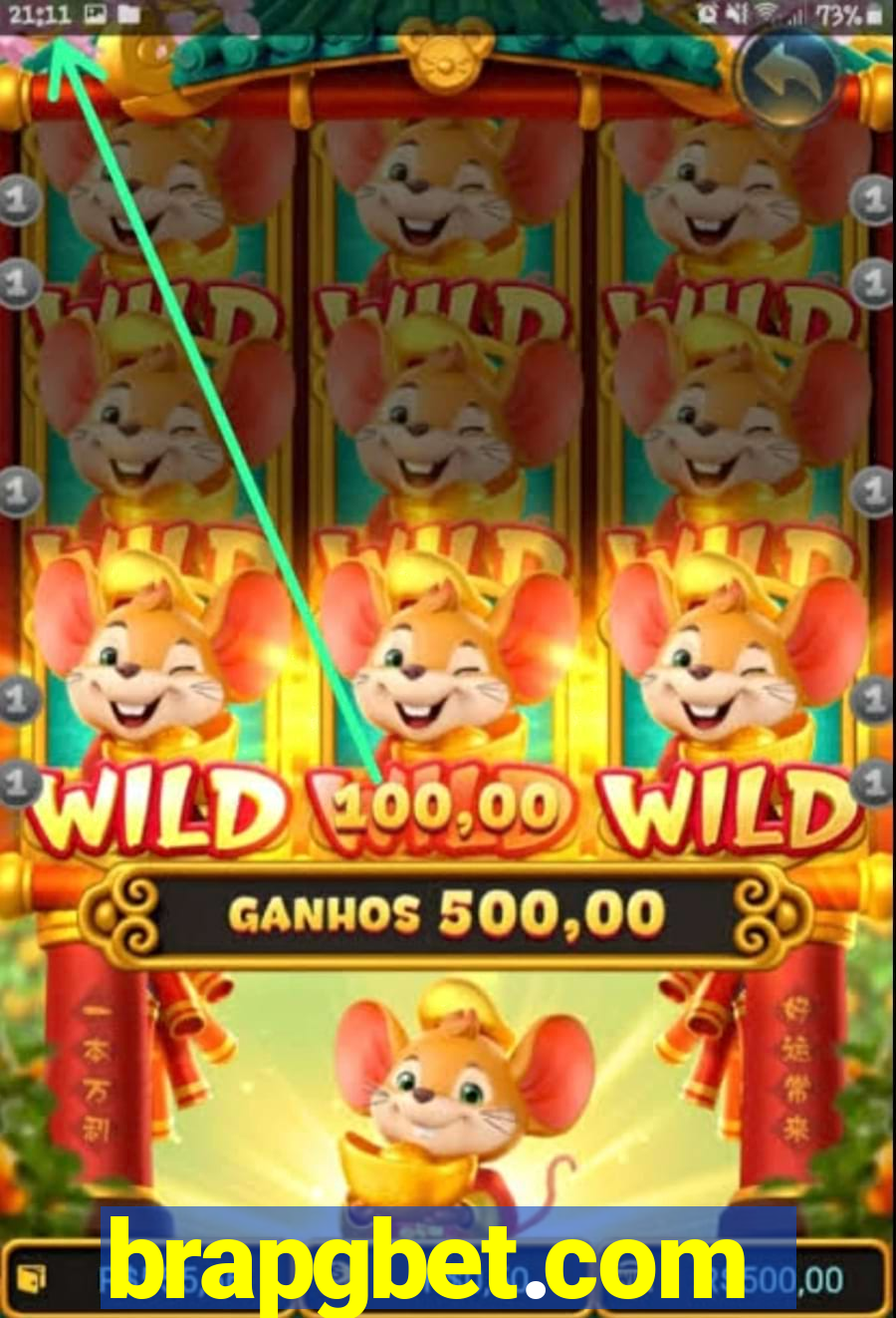 brapgbet.com