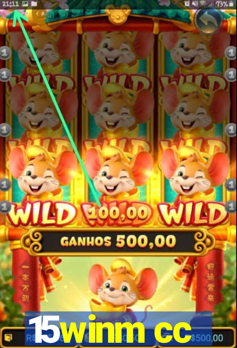 15winm cc