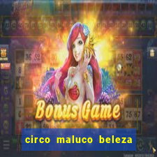 circo maluco beleza recife circo maluco