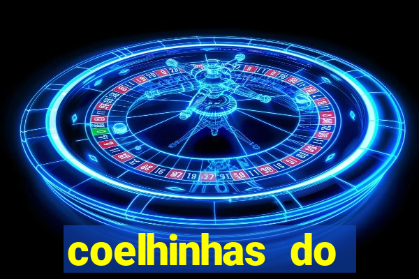 coelhinhas do brasil recife