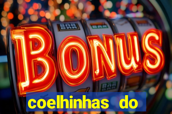 coelhinhas do brasil recife