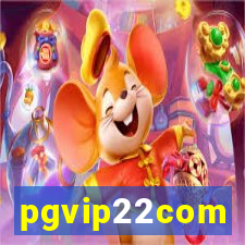 pgvip22com