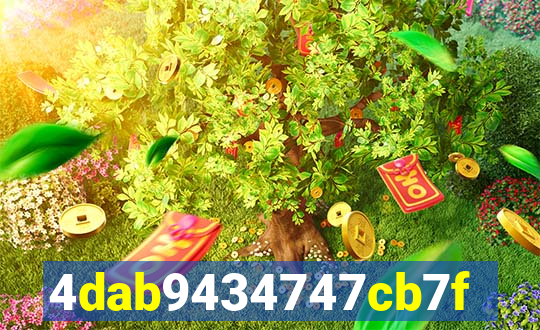 255bet com