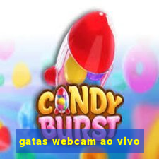 gatas webcam ao vivo
