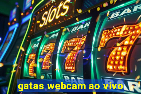 gatas webcam ao vivo