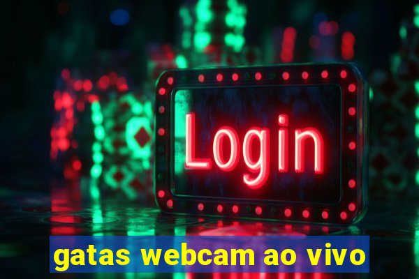 gatas webcam ao vivo