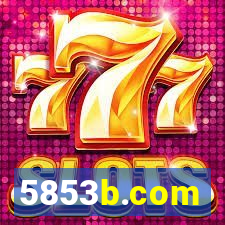 5853b.com