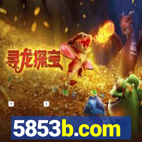 5853b.com