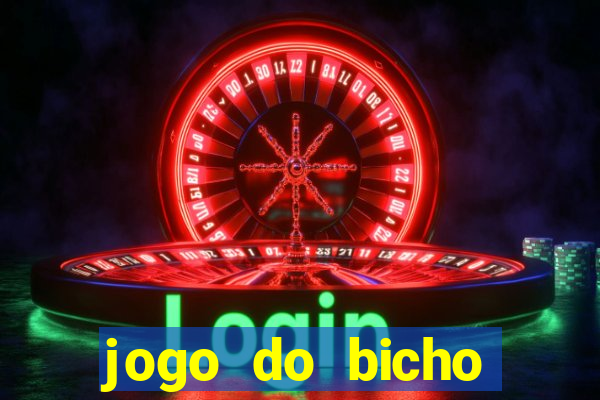jogo do bicho crash bingo