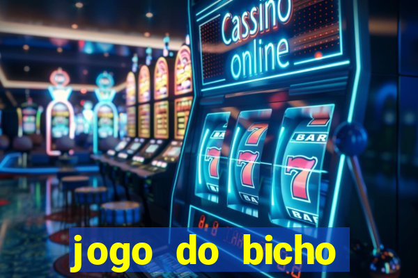jogo do bicho crash bingo