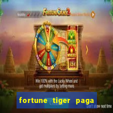 fortune tiger paga de madrugada