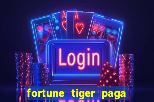 fortune tiger paga de madrugada