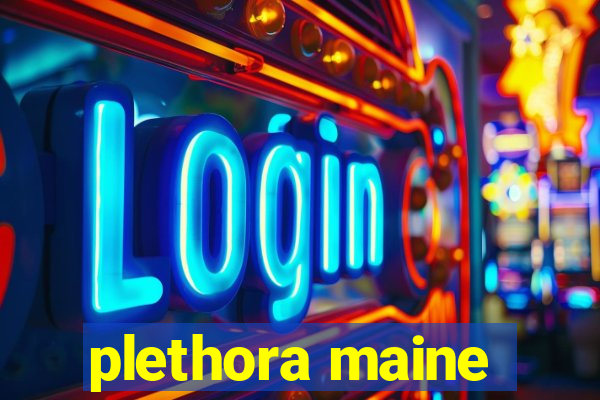 plethora maine
