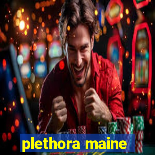 plethora maine