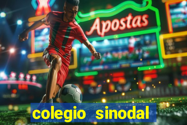 colegio sinodal salvador porto alegre