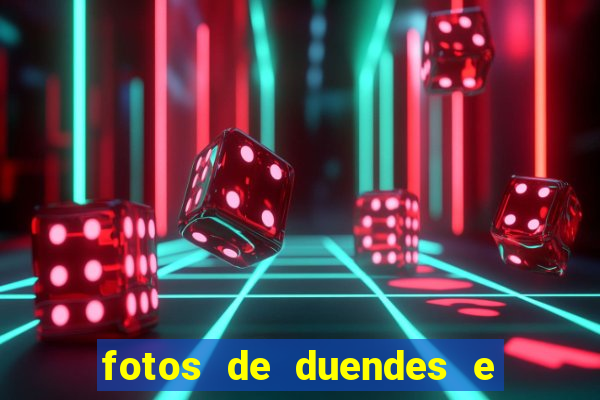 fotos de duendes e gnomos reais