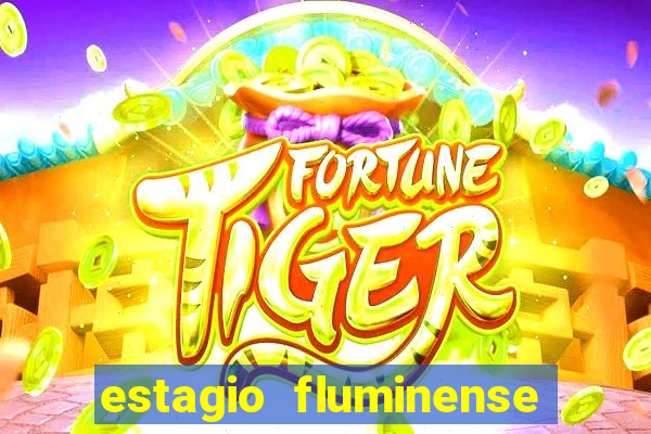 estagio fluminense futebol clube