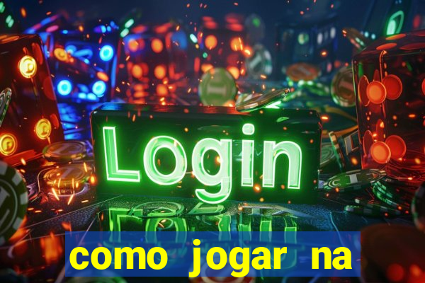 como jogar na seninha online