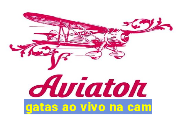 gatas ao vivo na cam