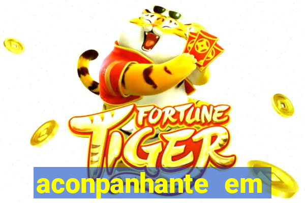 aconpanhante em porto alegre