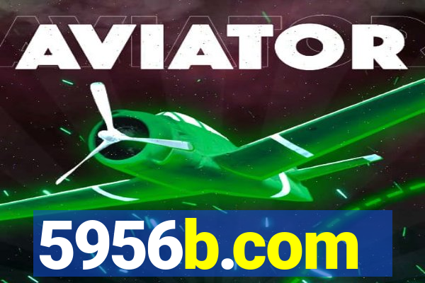 5956b.com