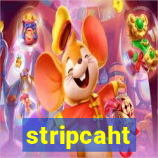 stripcaht