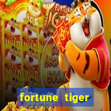 fortune tiger aposta 1 real