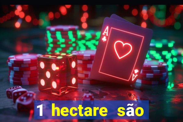 1 hectare são quantas tarefas na bahia