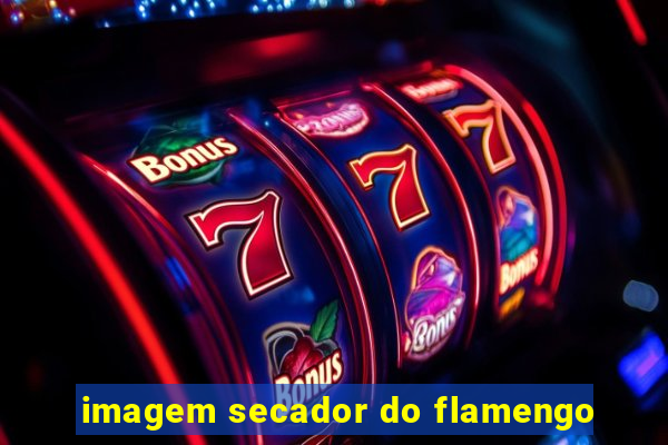 imagem secador do flamengo