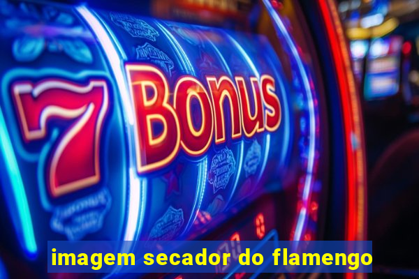 imagem secador do flamengo