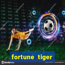 fortune tiger plataforma nova