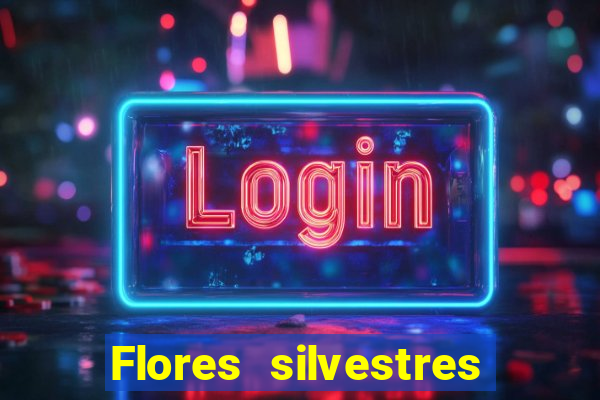 Flores silvestres brasileiras 25