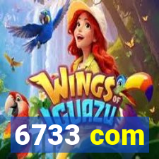 6733 com